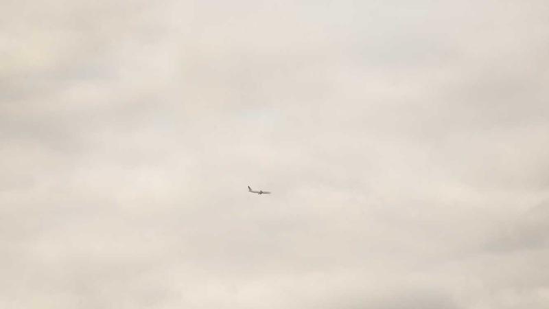 2026年影视短剧与动漫排行榜总结图